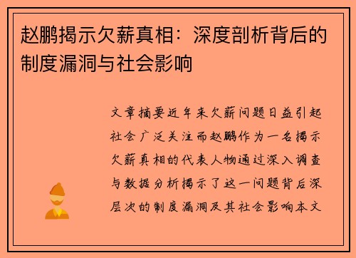赵鹏揭示欠薪真相：深度剖析背后的制度漏洞与社会影响