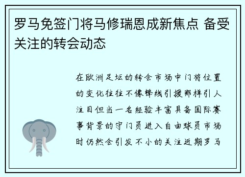 罗马免签门将马修瑞恩成新焦点 备受关注的转会动态